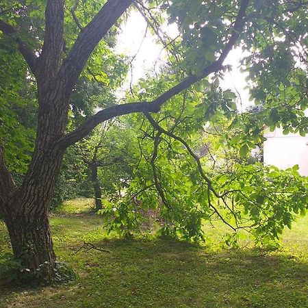 Szépvölgyi Apartmanház Siófok Kültér fotó